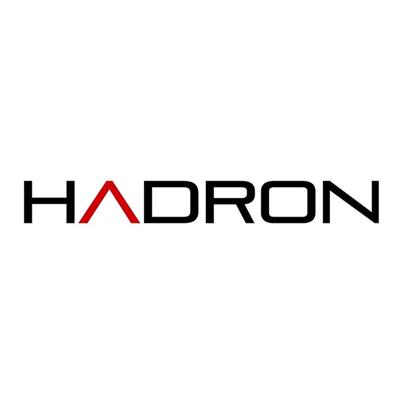 Hadron